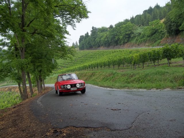 L. Fulvia Coupè in prova speciale -Cassine 2015